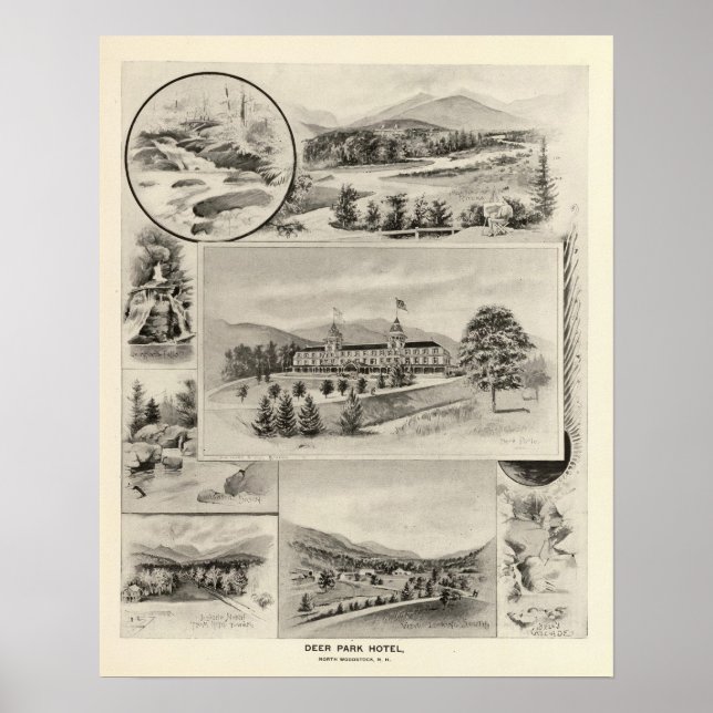 Póster Deer Park Hotel (Frente)