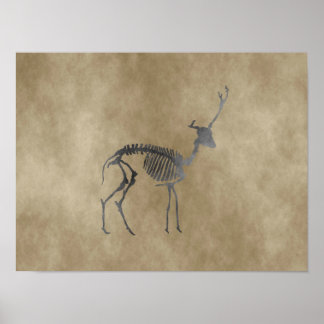 Póster deer skeleton