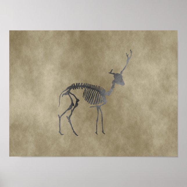 Póster deer skeleton (Frente)