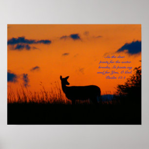 Póster Deer Sunset