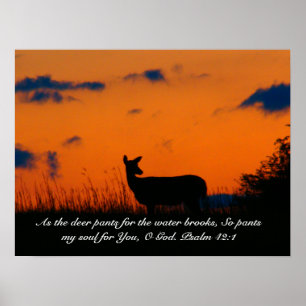 Póster Deer Sunset