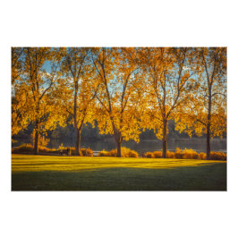 Póster DeerLake en otoño