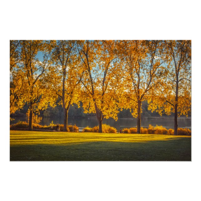 Póster DeerLake en otoño (Anverso)