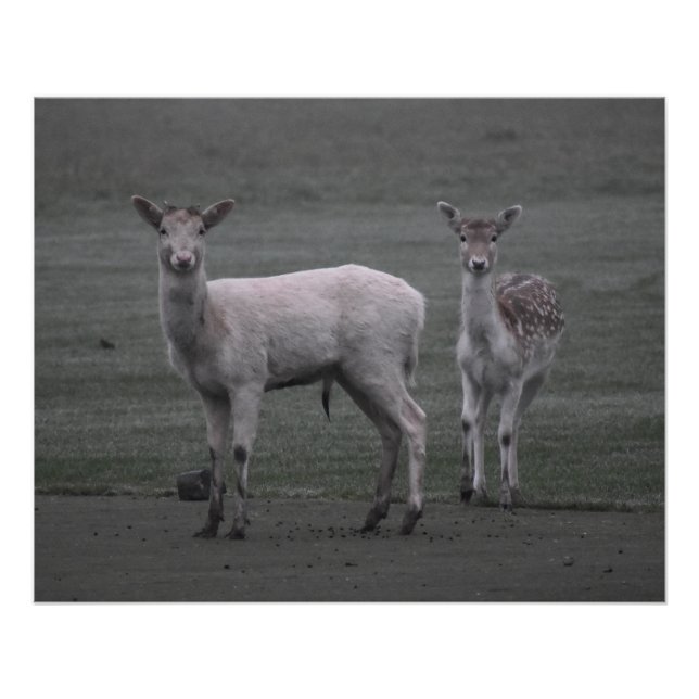 Póster Deers (Anverso)