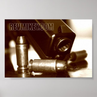 Póster defensa doméstica 1