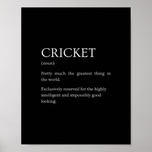 Póster Definición de cricket - Explicación divertida y sa