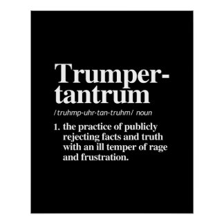 Póster Definición de la trama del Trumper