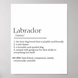 Póster Definición de Labrador