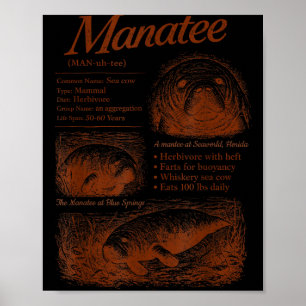 Póster Definición de manatí 90s respeta a los lugareños s