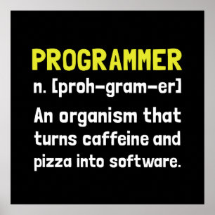 Póster Definición de programador