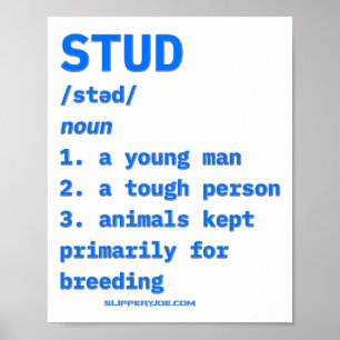Póster Definición de Slipperyjoes Stud Diccionario de Ani