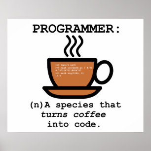 Póster Definición de un programador informático - Poster