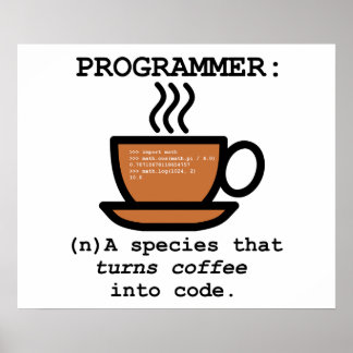 Póster Definición de un programador informático - Poster