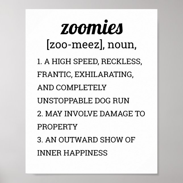 PÓSTER DEFINICIÓN DE ZOOMIES (Frente)