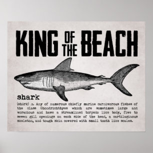 Póster Definición del tiburón del Rey de la playa de Vint