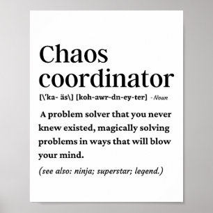 Póster Definición divertida de coordinador de caos