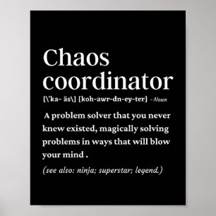 Póster Definición divertida del coordinador del caos