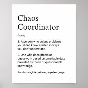 Póster Definición divertida del trabajo de coordinadores 