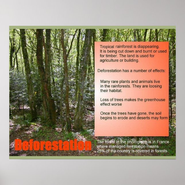 Póster Deforestación científica de la ciencia de la vida (Frente)