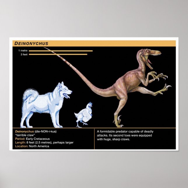 Póster Deinonychus - Biología Dinosaurio Jurásico (Frente)