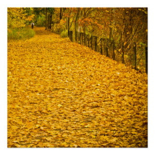 PÓSTER DEJA DE LA CULPA DE CAÍDA SALVAJE