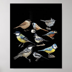 Póster Deja de mirar a mis pájaros divertidos cita de amo