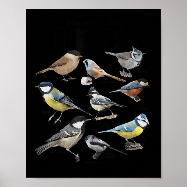 Póster Deja de mirar a mis pájaros divertidos cita de amo (Frente)