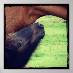 Póster Déjame Decirte Un Secreto