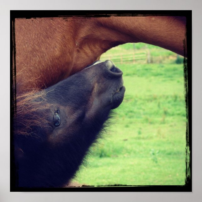 Póster Déjame Decirte Un Secreto (Frente)