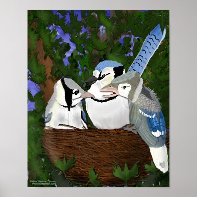 Póster Dejando al Poster del Jay Nest Blue (Frente)