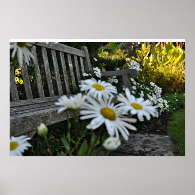 Póster Dejar De Oler A Los Daises (Frente)