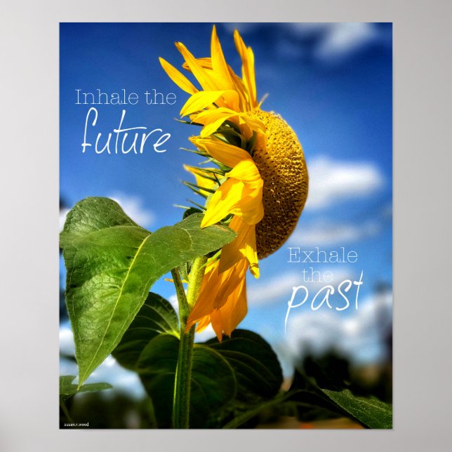 Póster Dejar ir y mirar hacia adelante Poster (Frente)