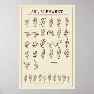 Póster del alfabeto de LSA
