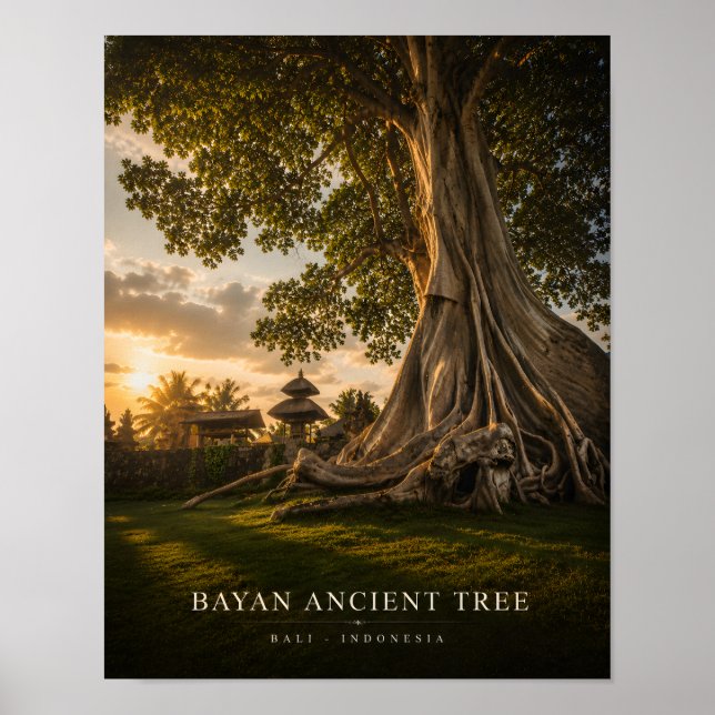 Póster del Árbol Antiguo Bayan Bali (Frente)