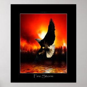 Poster del arte de Eagle calvo de la TORMENTA DE