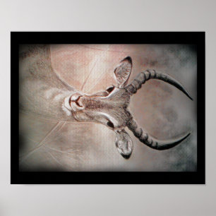 Poster del arte del antílope