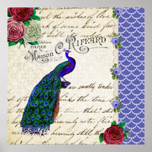 Poster del arte del collage del pavo real del