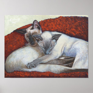 "Poster del arte del gato de Simaese de la siesta