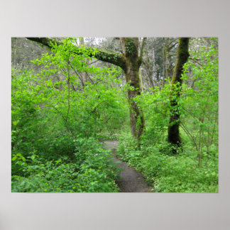 Póster del Camino de la Naturaleza