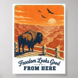 Póster del Cañón Freedom Looks Good