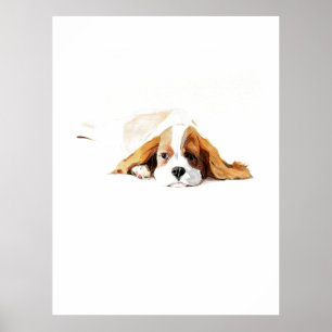 Póster del Cavalier King, Arte de Pared de Perro d