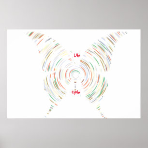 Póster del ciclo de vida