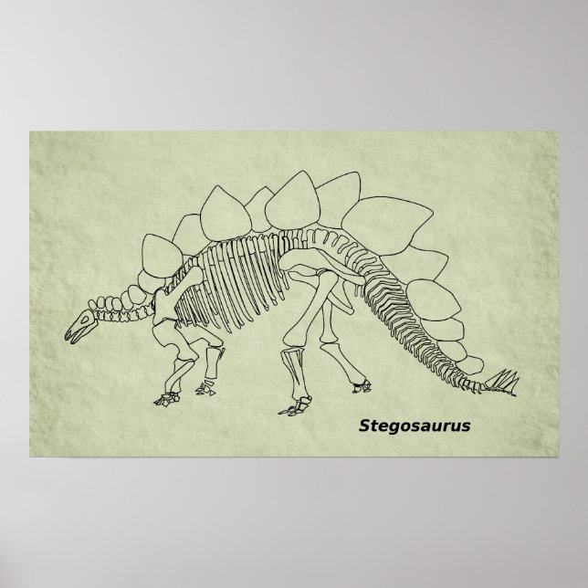 Póster del esqueleto de Stegosaurus (Frente)