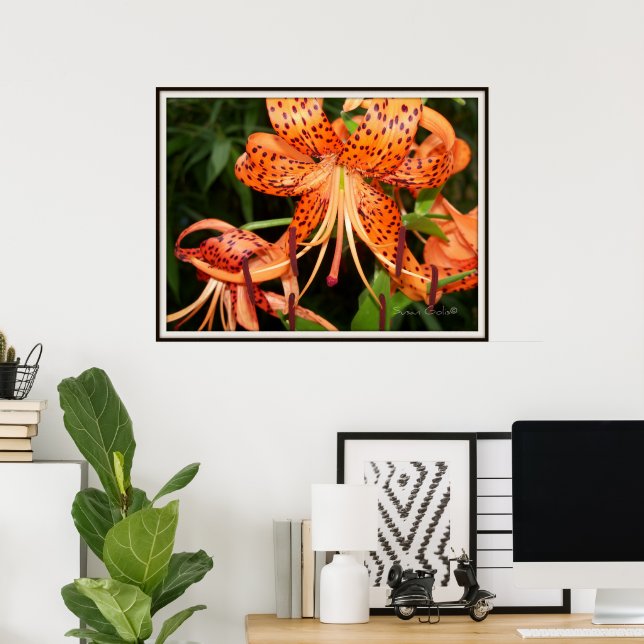 Póster del jardín de flores de lirio de tigre (Oficina en casa)
