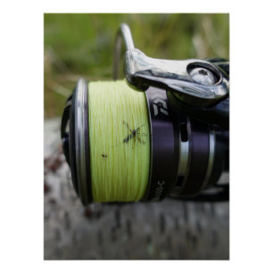 Poster del karma de pesca