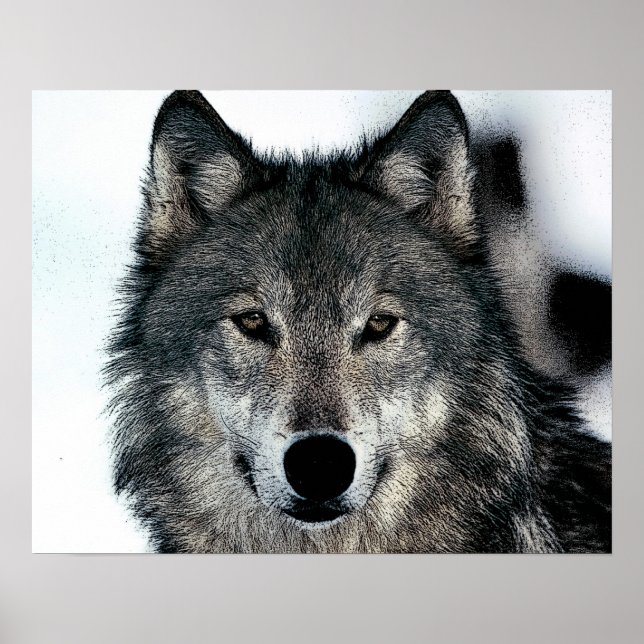 Póster del Lobo Gris (Frente)