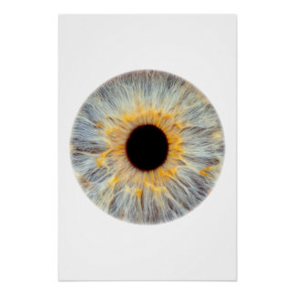 Póster del Ojo