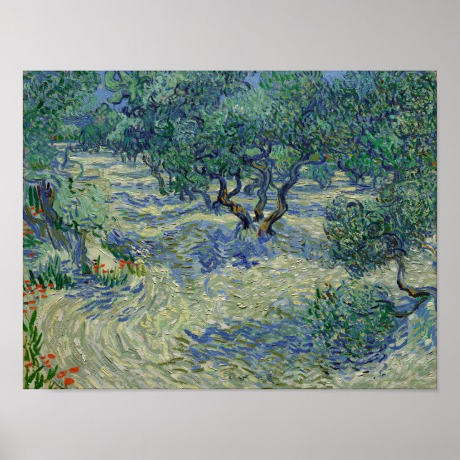 Póster del olivar de Vincent van Gogh (Frente)