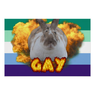 Poster del Orgullo Paddy
