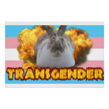 Poster del Orgullo Paddy (transgénero)
